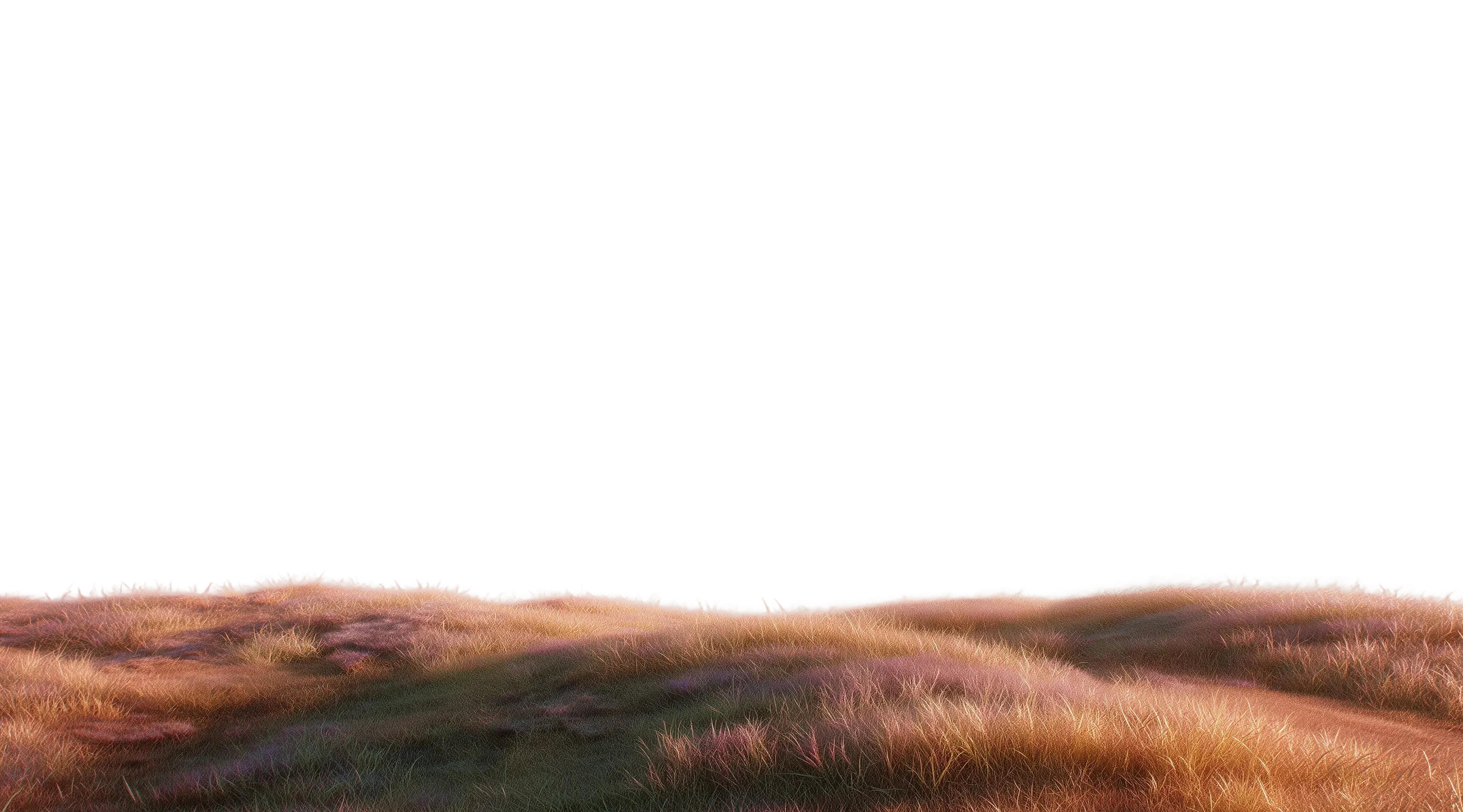 Foreground