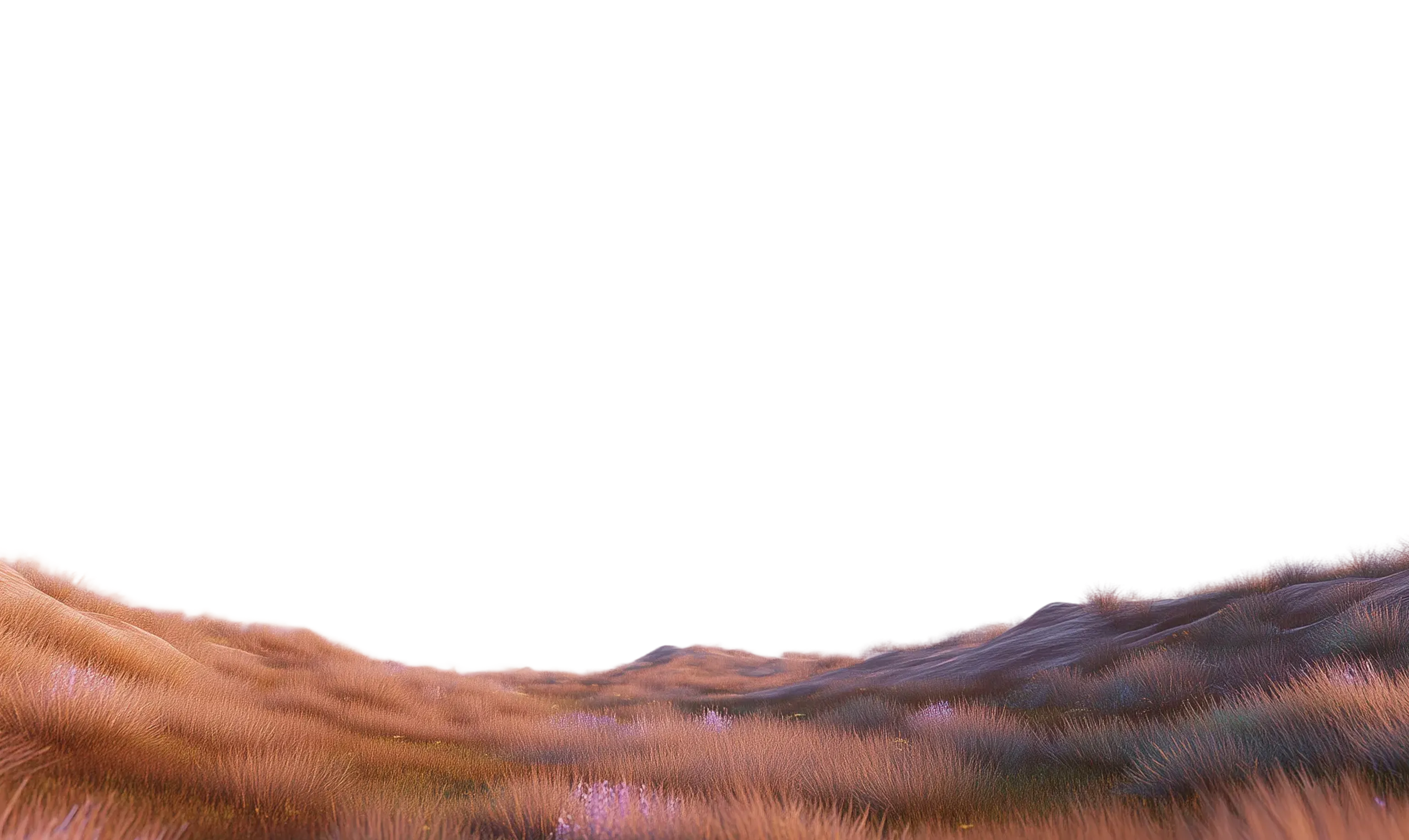 Foreground