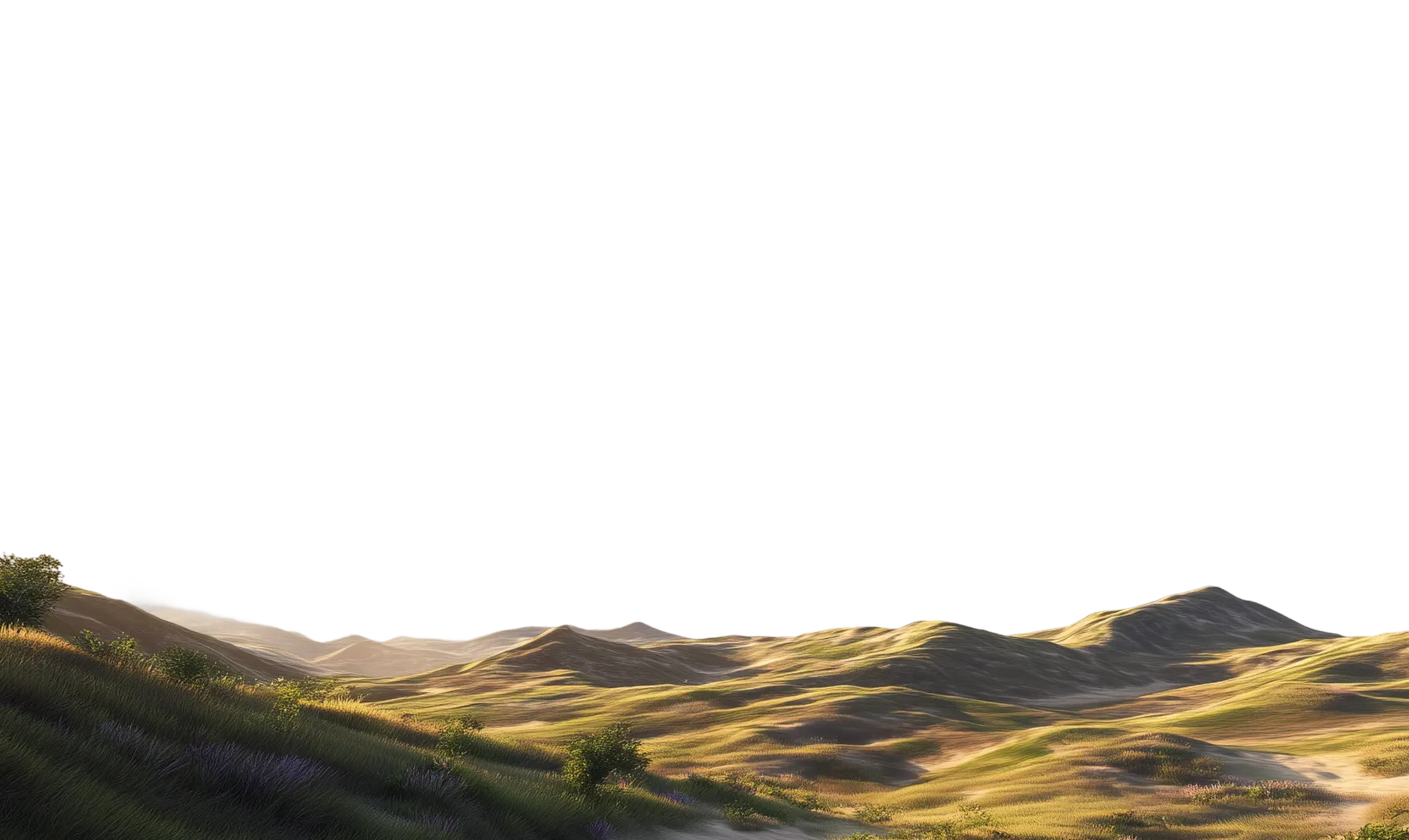 Foreground