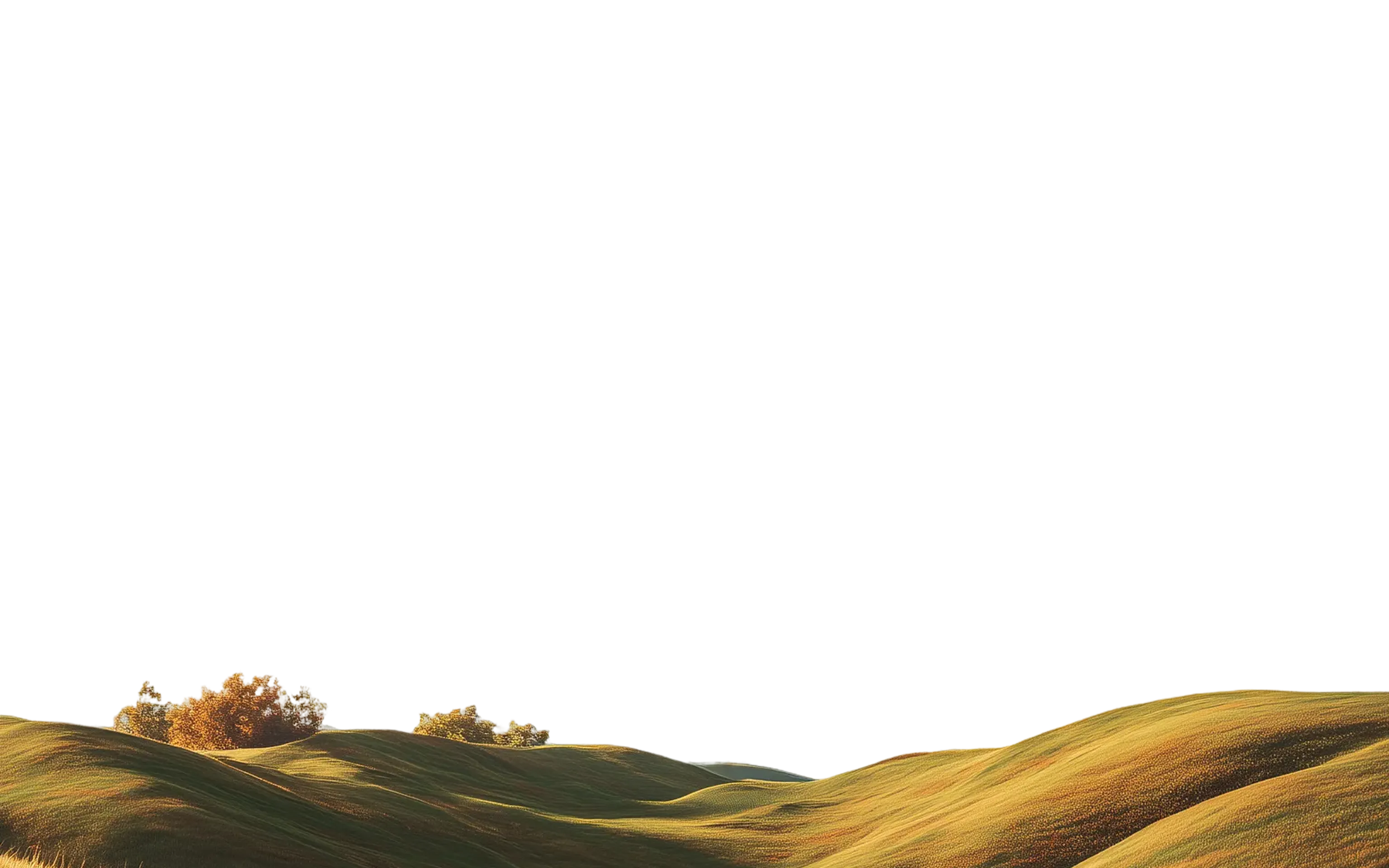 Foreground