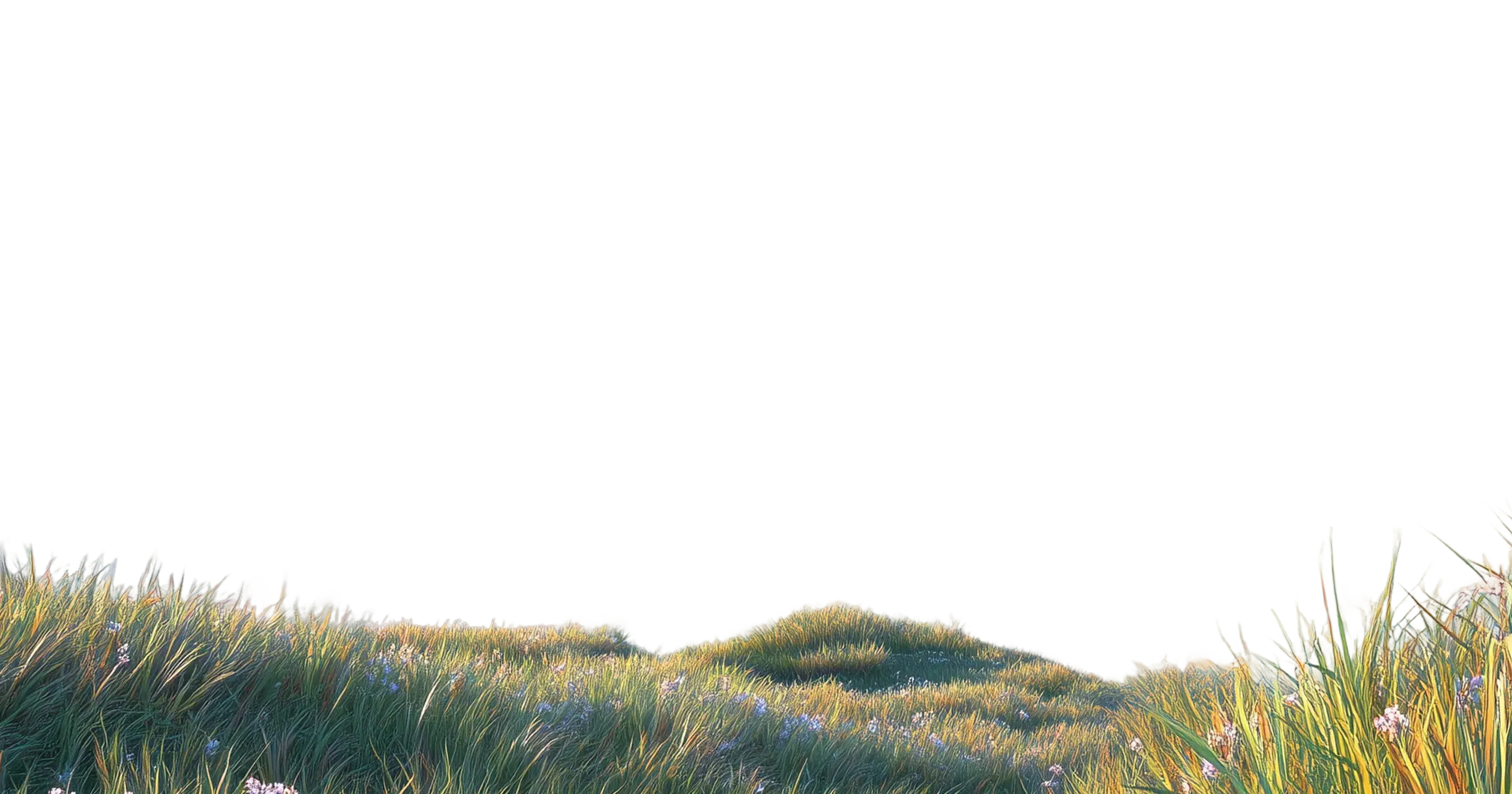 Hero Background
