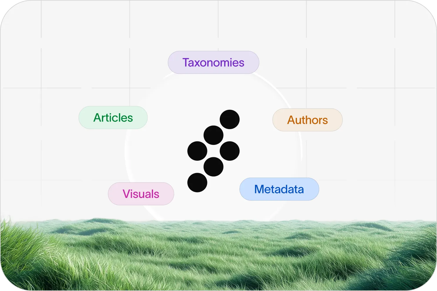 Taxonomies handled automatically